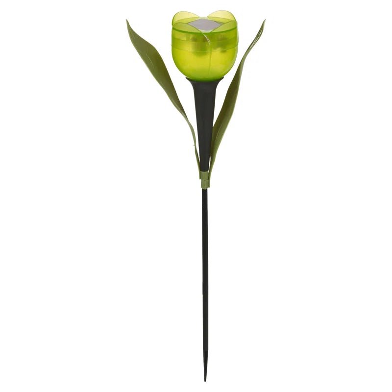 Black Solar - Powered Lights - Demuva