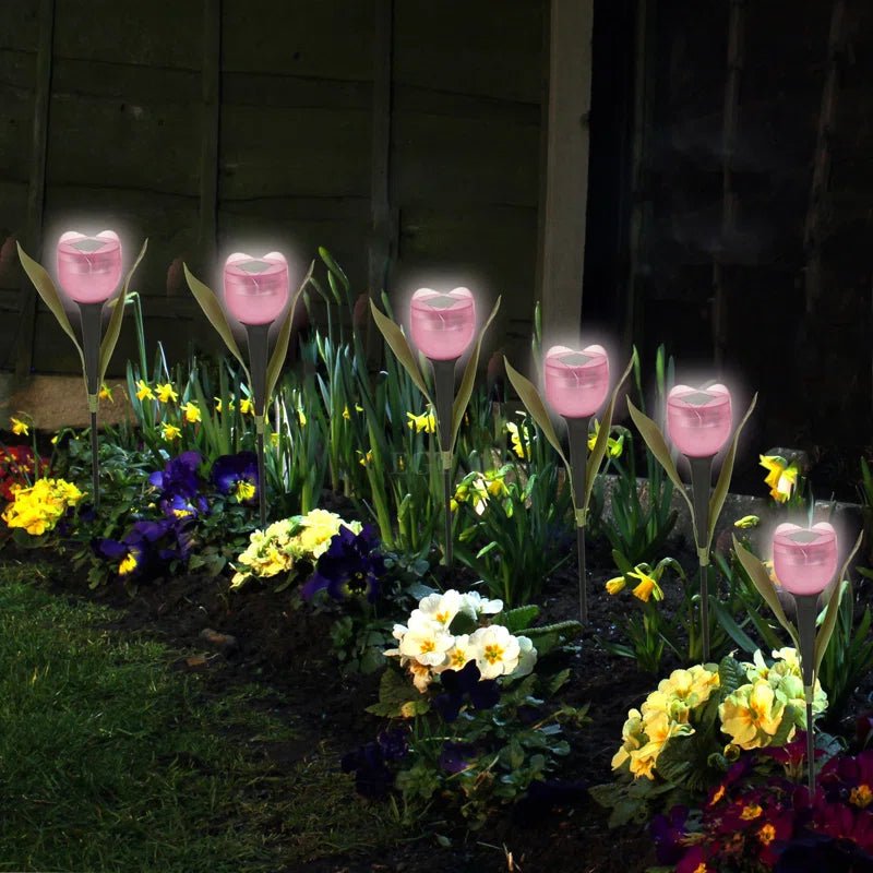 Black Solar - Powered Lights - Demuva