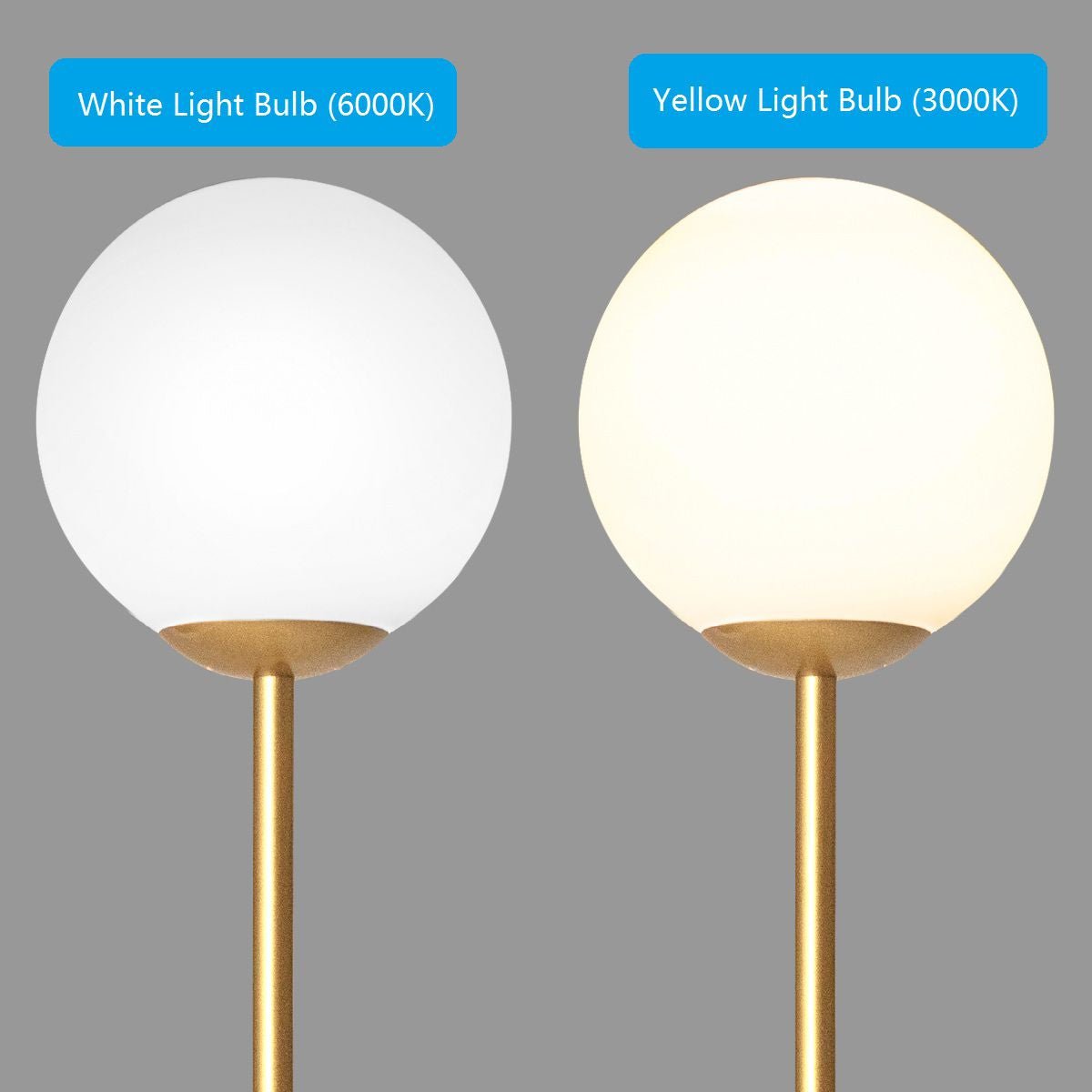 Globe Lamp Cover Floor Lamp with Acrylic Lampshade - Demuva